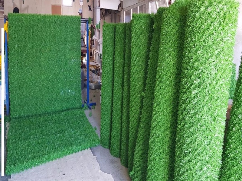 Çim Çit Nedir? Kullanım Alanları, Çeşitleri ve Fiyat Rehberi