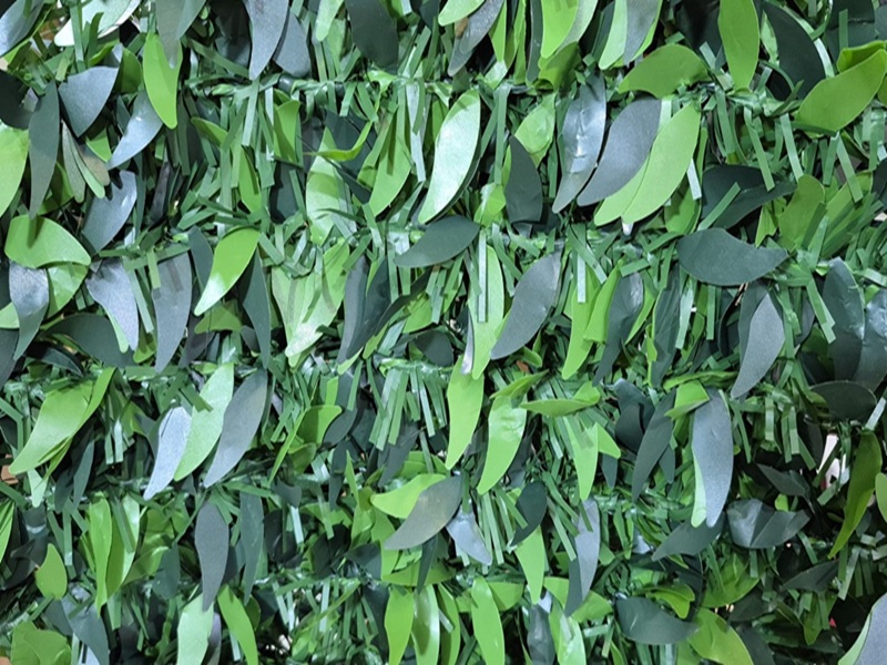 Yaprak Çit - Toptan satış